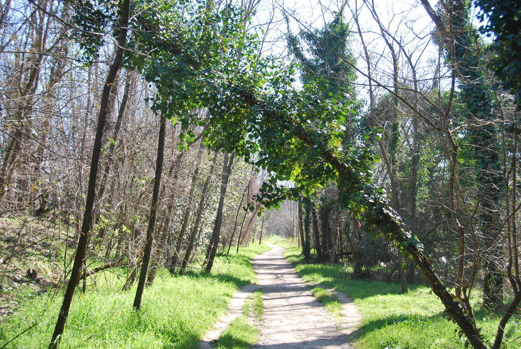 B&B Percorso Verde Ponte Valleceppi Exterior photo